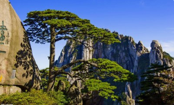 團(tuán)建|魅力初秋，歡歌同行 -2019鑫創(chuàng)夏令營